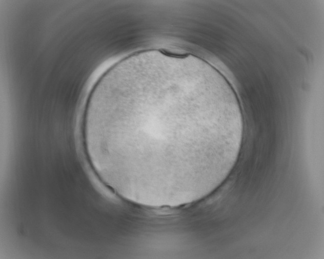 X0000113781152200910211200