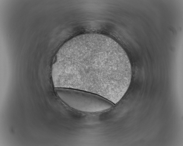 X0000113781153200910211159