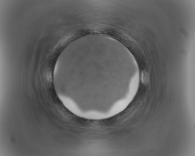 X0000113781155200910211159