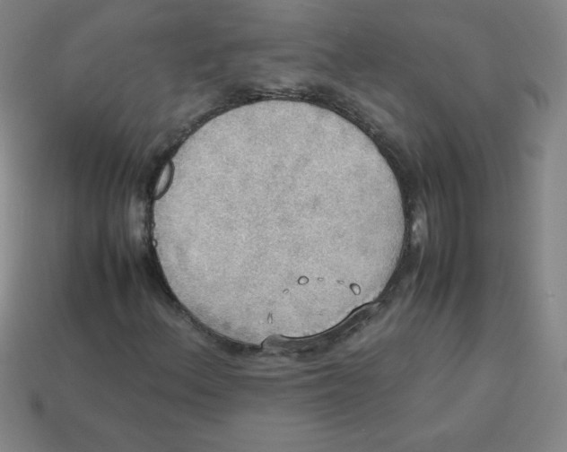 X0000113781156200910211159