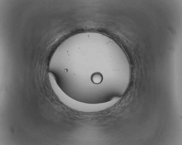 X0000113781157200910211159