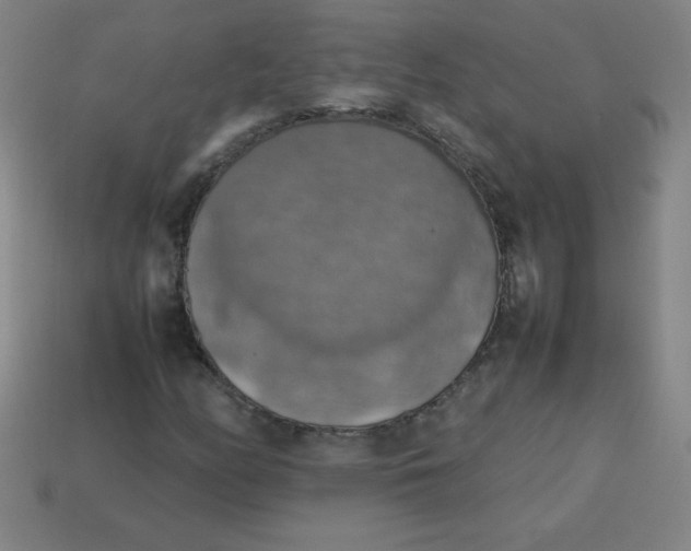 X0000113781158200910211159