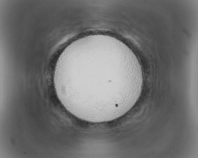 X0000113781159200910211159