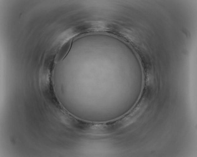 X0000113781161200910211159