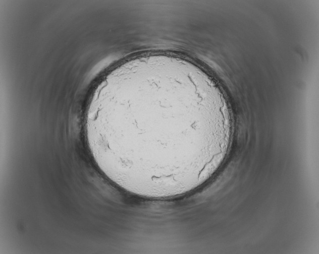 X0000113781163200910211159