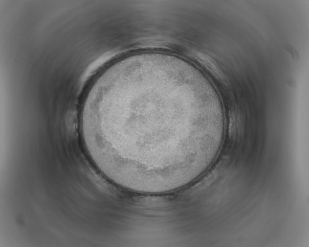 X0000113781164200910211159