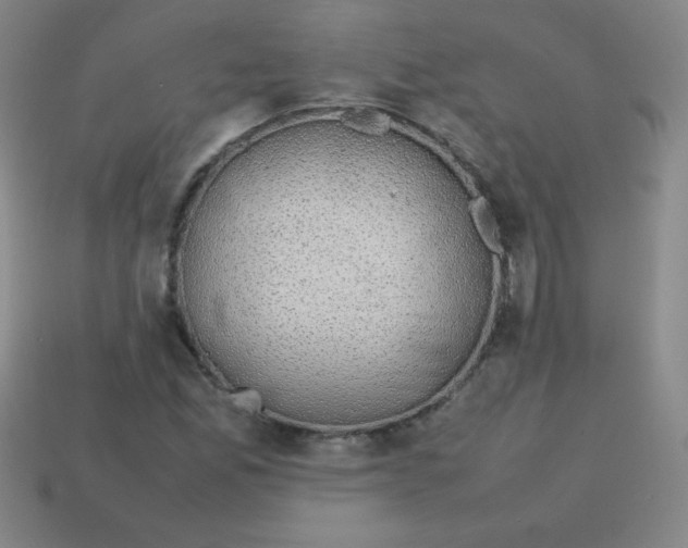 X0000113781165200910211159