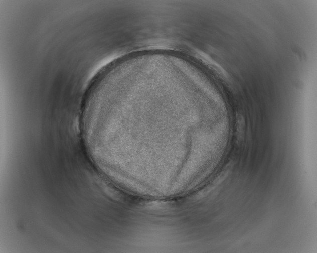 X0000113781166200910211159