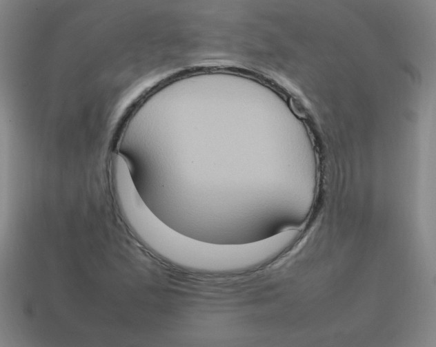 X0000113781167200910211159