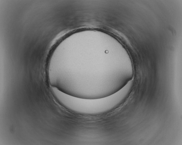 X0000113781168200910211159