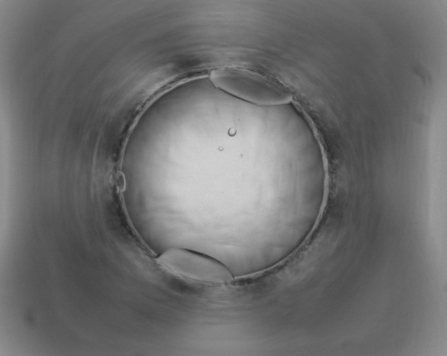 X0000113781169200910211159