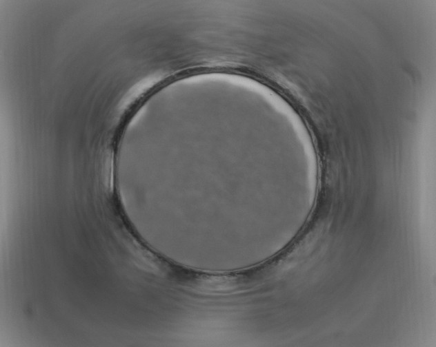 X0000113781171200910211159