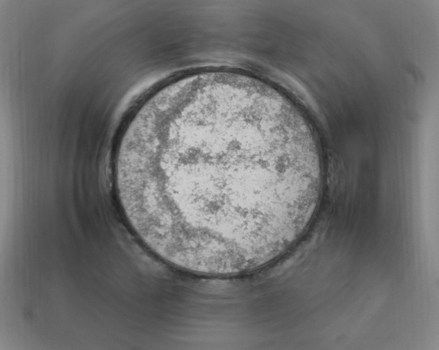 X0000113781172200910211159