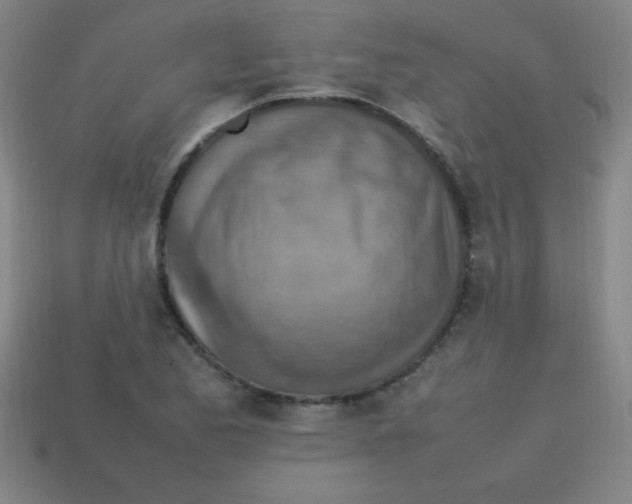 X0000113781173200910211159