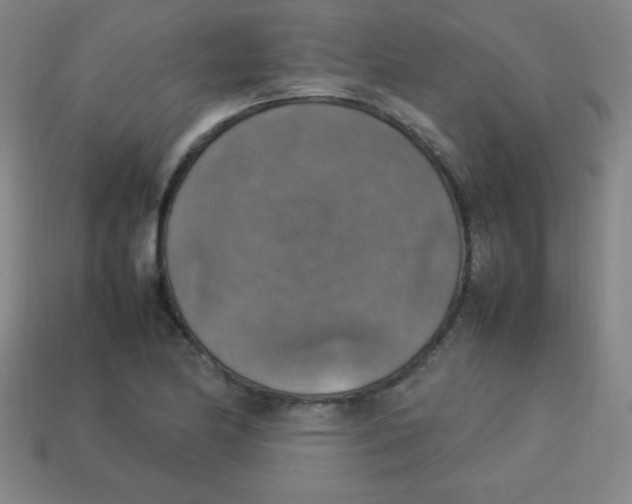 X0000113781174200910211159