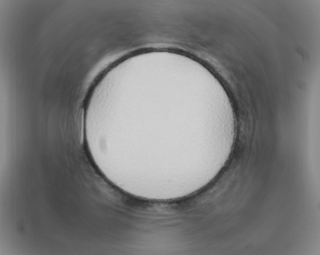 X0000113781175200910211159