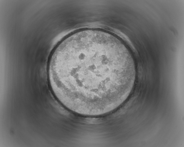 X0000113781176200910211159