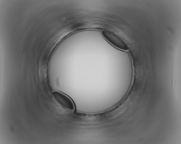 X0000113781177200910211159