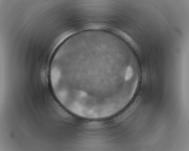 X0000113781178200910211159