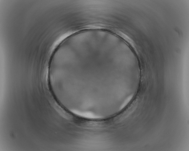 X0000113781179200910211159