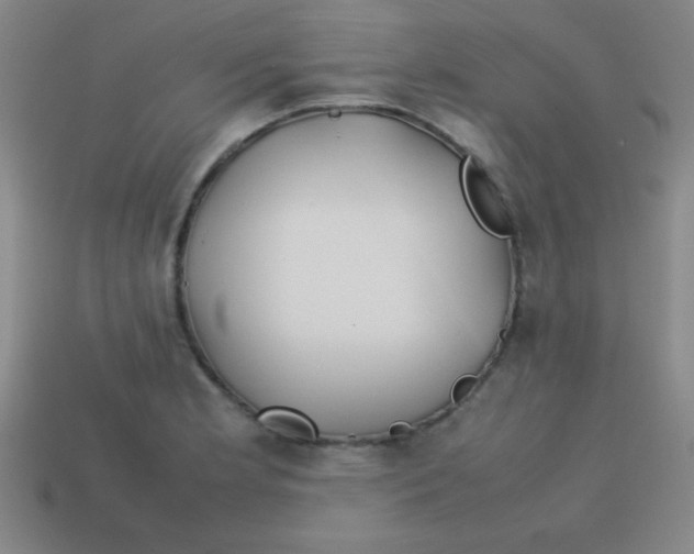 X0000113781181200910211159