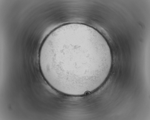 X0000113781184200910211159