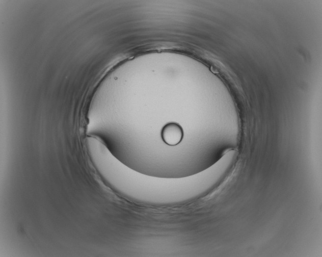 X0000113781185200910211159