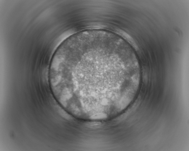 X0000113781186200910211159