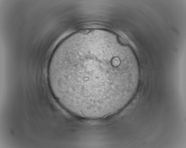 X0000113781189200910211159