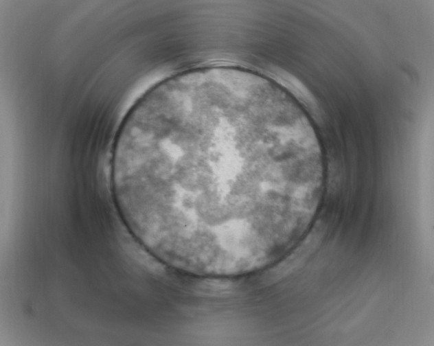 X0000113781190200910211159