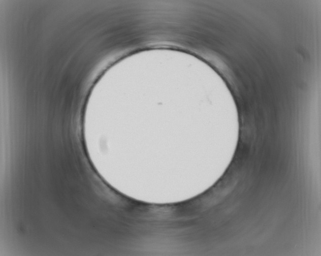 X0000113781191200910211159