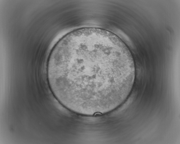 X0000113781192200910211159