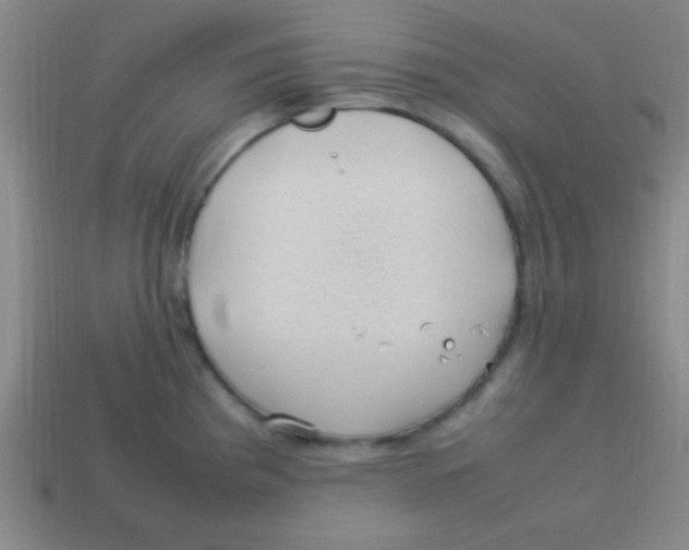 X0000113781193200910211159