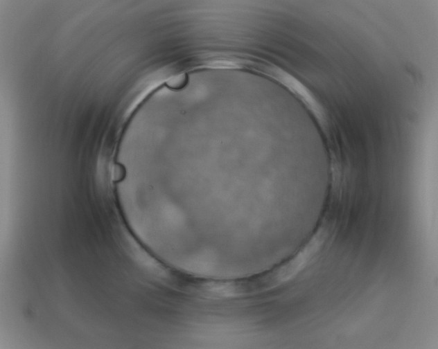 X0000113781194200910211159