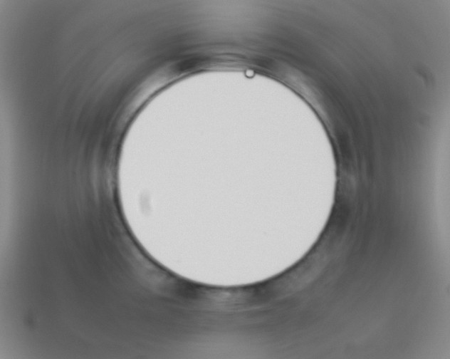 X0000113781195200910211159