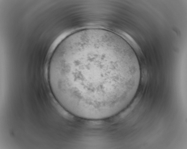 X0000113781196200910211159