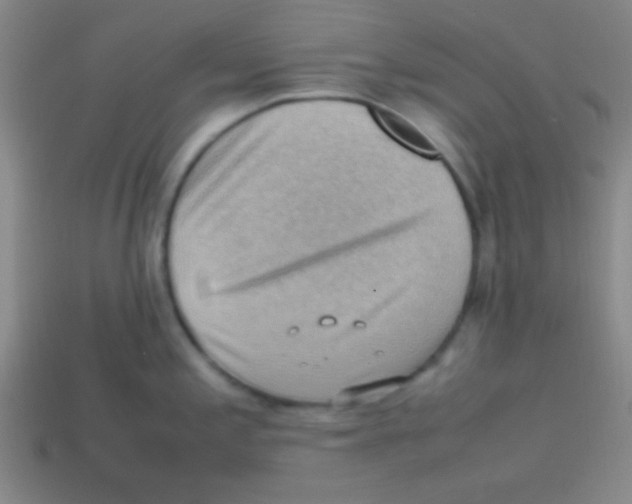 X0000113781197200910211159