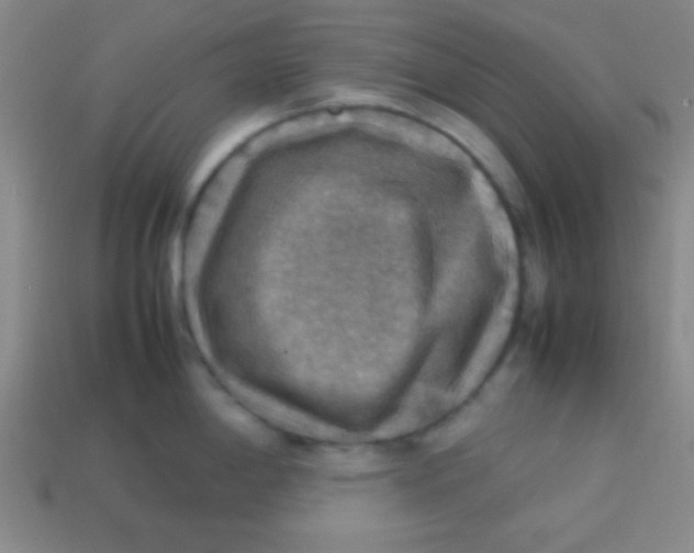 X0000113781198200910211159