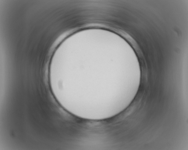 X0000113781199200910211159