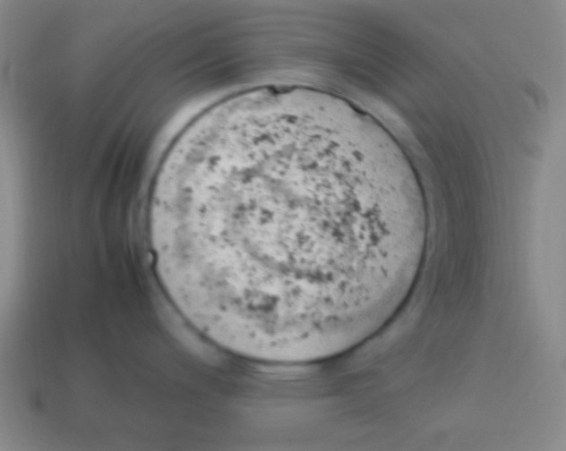 X0000113781200200910211159