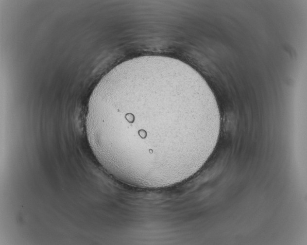 X0000113781202200910211158