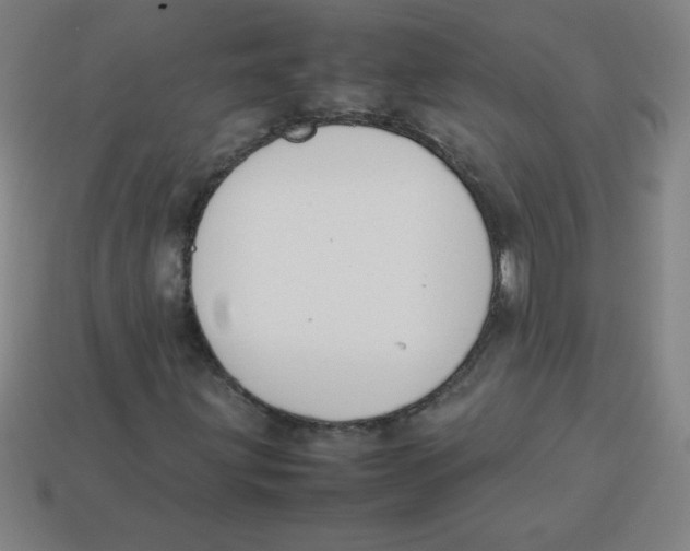 X0000113781203200910211158