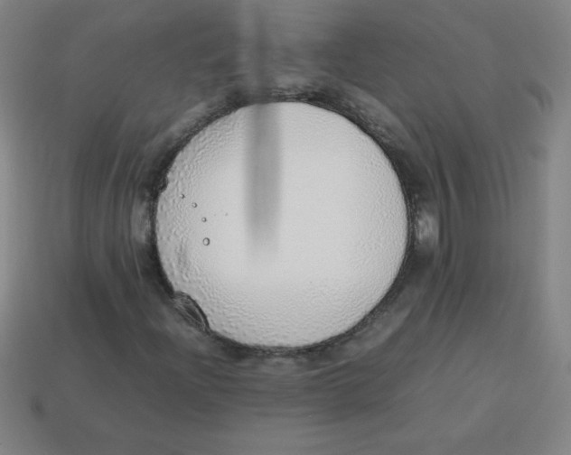 X0000113781204200910211158