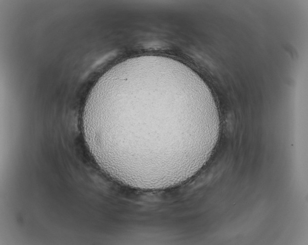 X0000113781205200910211158