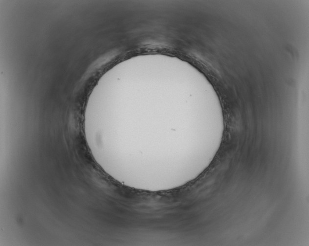 X0000113781207200910211158