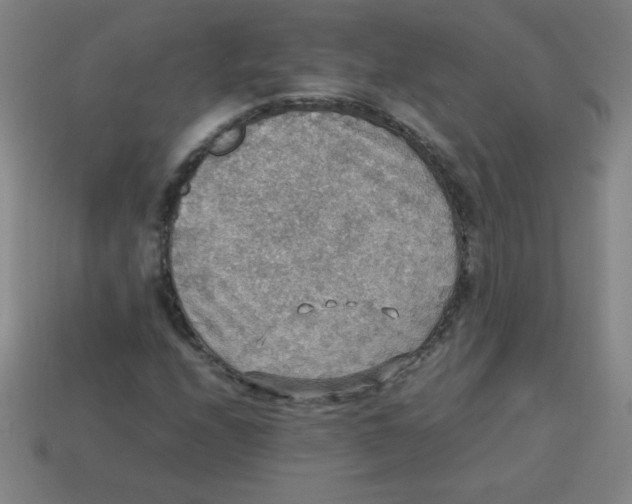 X0000113781208200910211158