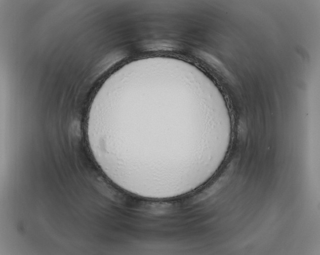 X0000113781209200910211158