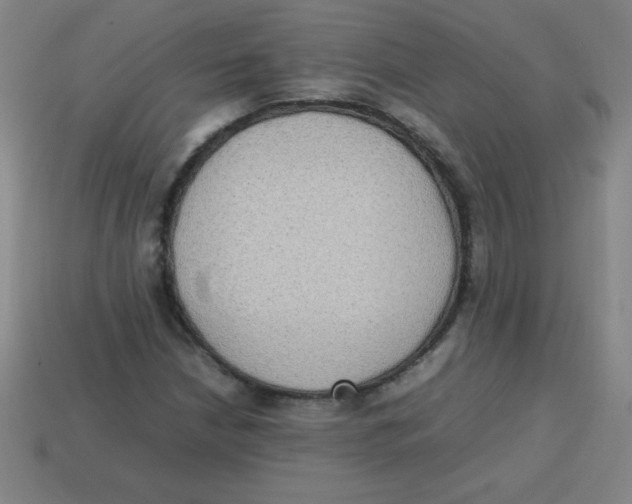 X0000113781210200910211158