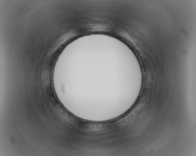 X0000113781211200910211158