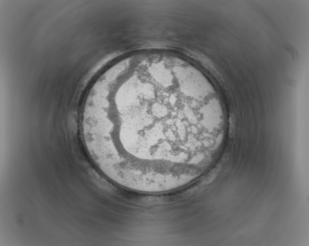 X0000113781212200910211158